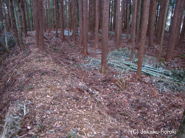 三河 則定小畑城の写真