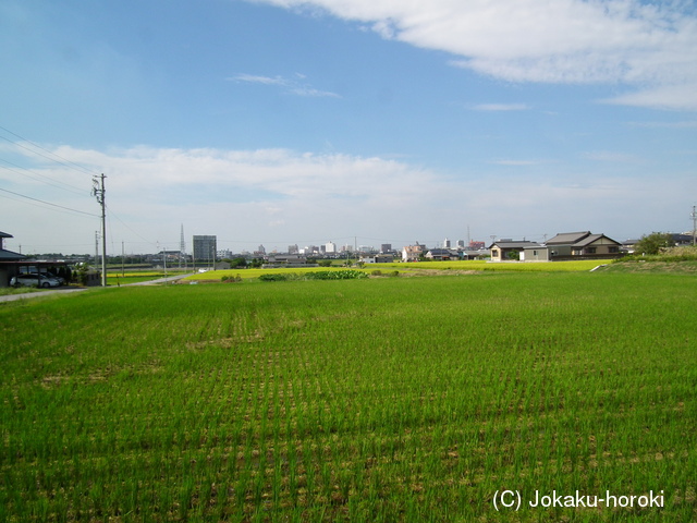 三河 小垣江新庄城の写真