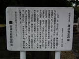 三河 小川城の写真