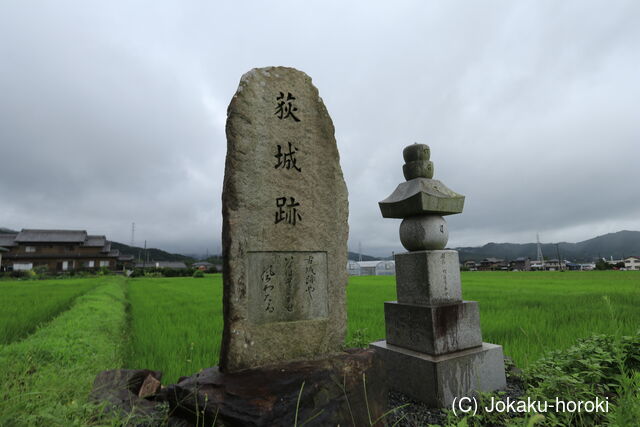 三河 荻城の写真