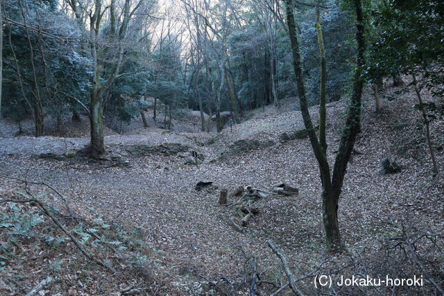 三河 大給城の写真