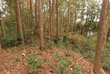 三河 大垣内城の写真