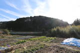 三河 大桑城の写真