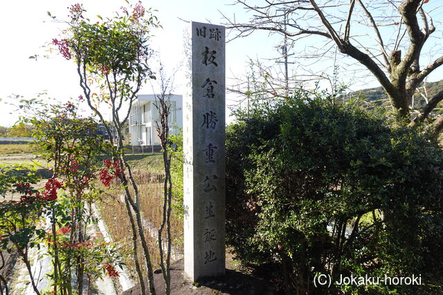 三河 小美城の写真