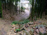 岡城写真
