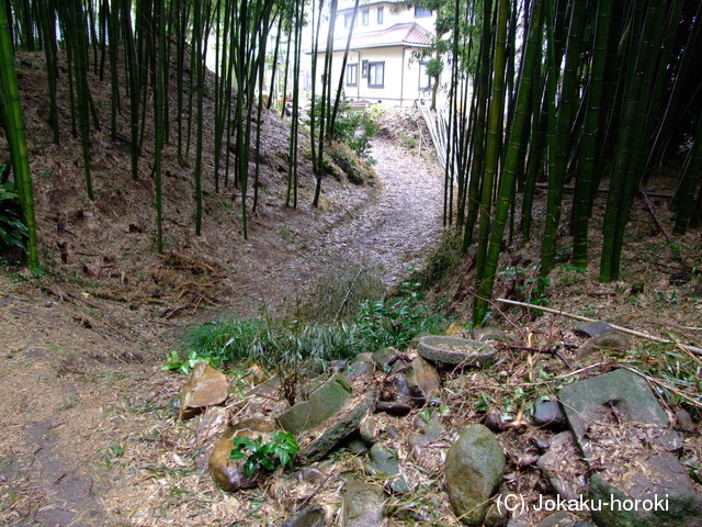 三河 岡城の写真