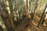 三河 乙ケ林城の写真