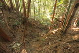 三河 乙ケ林城の写真