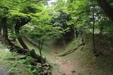 三河 岡崎城の写真