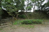 三河 岡崎城の写真