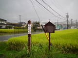 三河 長田館の写真