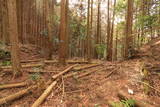 三河 押手城の写真