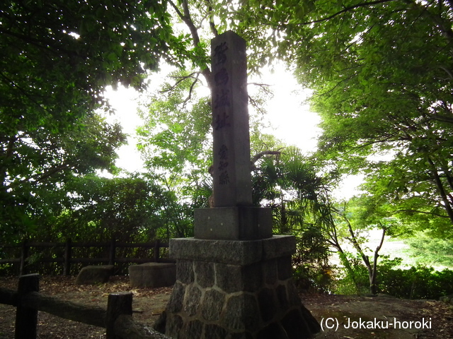 三河 鴛鴨城の写真