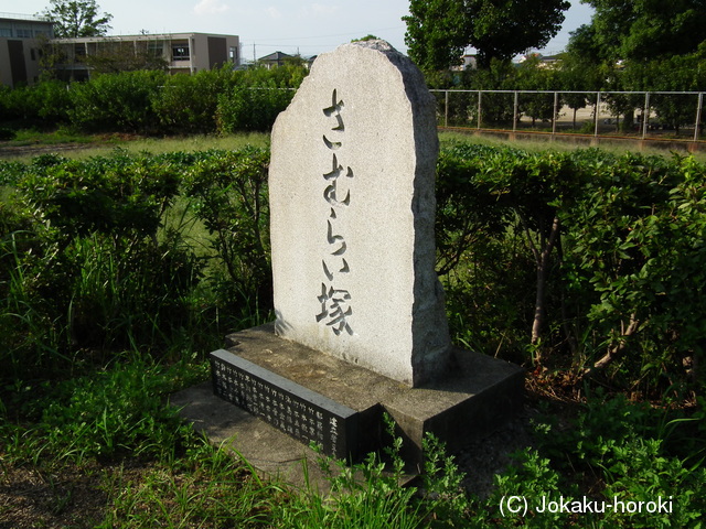 三河 来迎寺城の写真