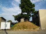 三河 来迎寺城の写真