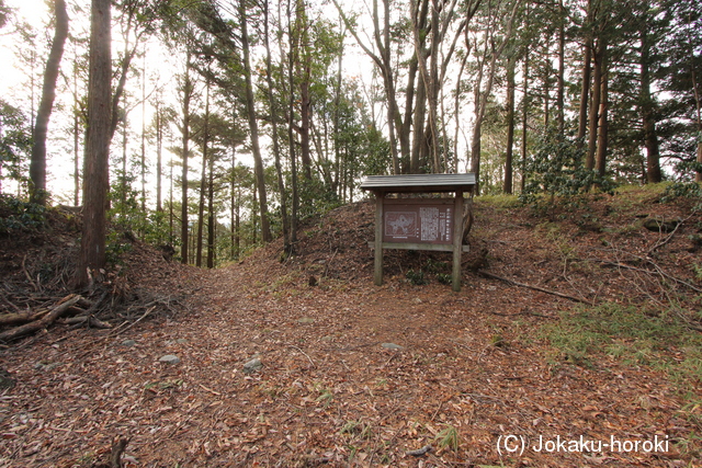 三河 塞之神城の写真