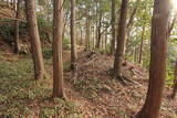 三河 塞之神城の写真