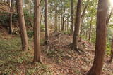 三河 塞之神城の写真