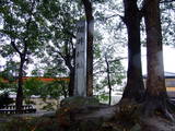 三河 桜井城の写真