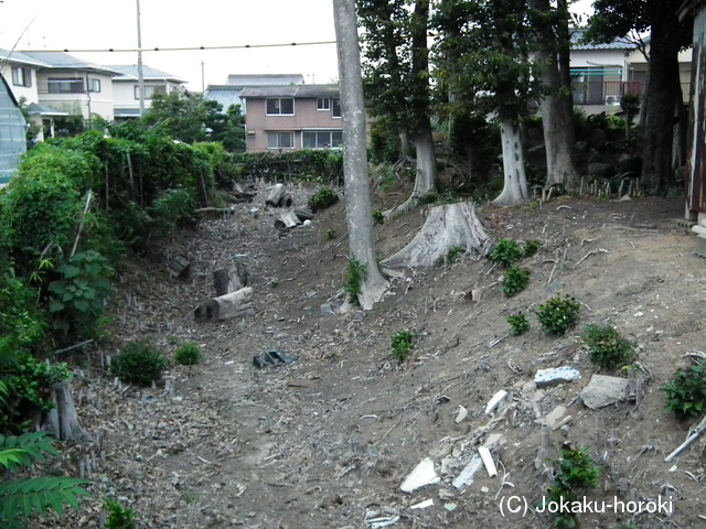 三河 誓願寺の写真