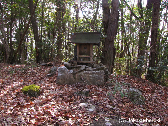 三河 酒呑城の写真