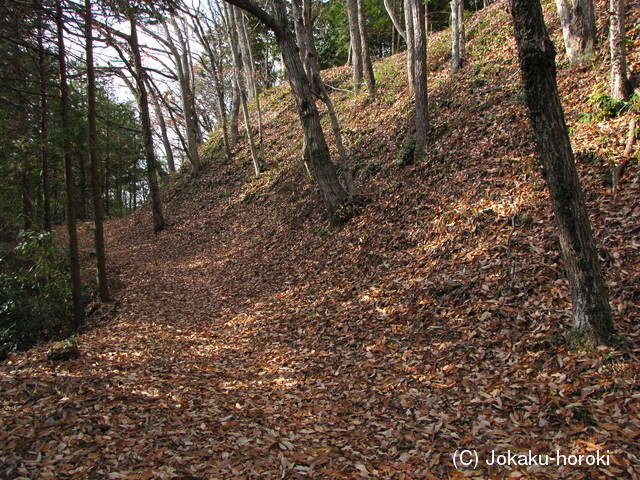 三河 椎城の写真