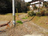 三河 椎城の写真