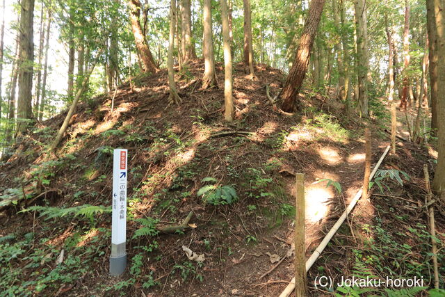 三河 清水城の写真