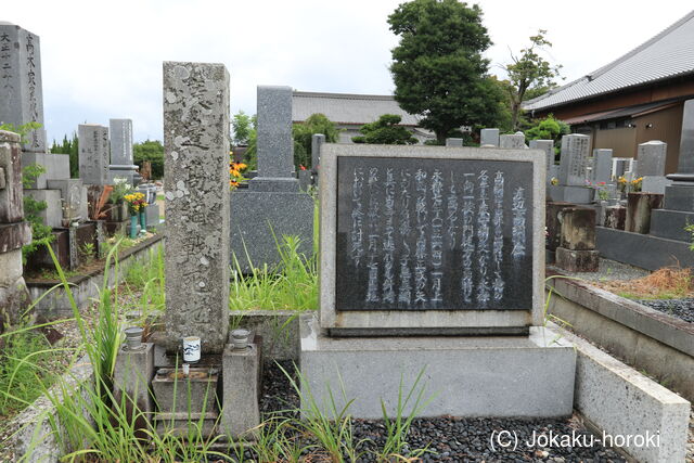 三河 勝鬘寺砦の写真