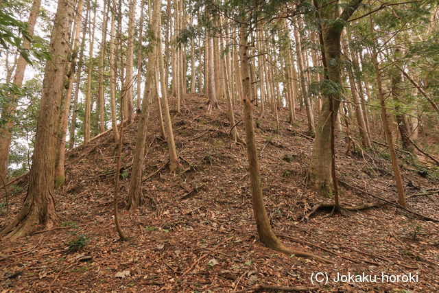 三河 高蔵城の写真