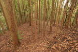 三河 高蔵城の写真