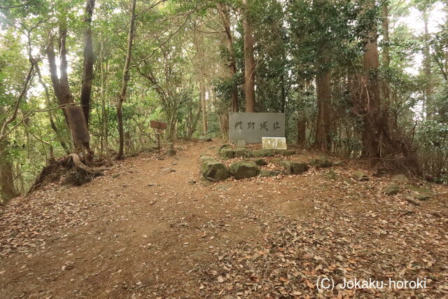 三河 丹野城の写真