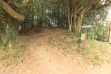三河 丹野城の写真