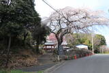 三河 照山城の写真