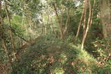 三河 照山城の写真