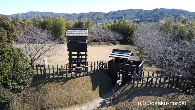 三河 東条城の写真