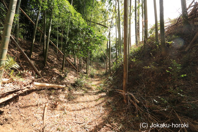 三河 和田城(豊橋市)の写真