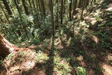 三河 津具城の写真