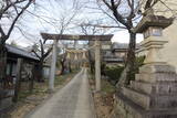 三河 堤本地城の写真