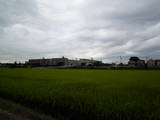 三河 上野下村城の写真