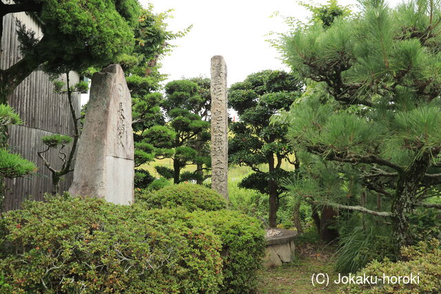 三河 渡城の写真