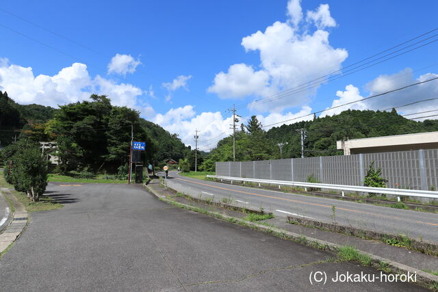 三河 八桑城の写真