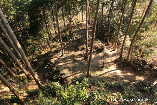 三河 山中城の写真