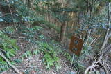 三河 山中城の写真