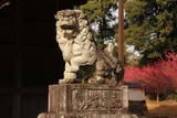 三河 八幡村城の写真