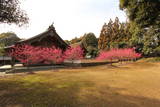 三河 八幡村城の写真