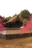 三河 八幡村城の写真