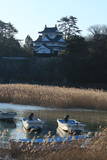 三河 吉田城の写真