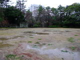 三河 吉田城の写真