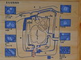 三河 吉田城の写真